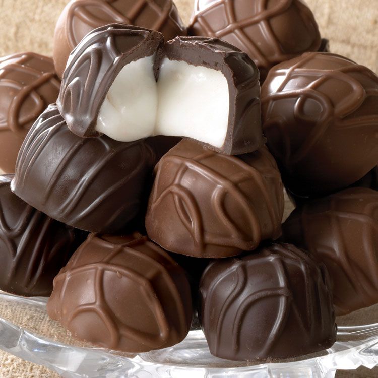 Bayard's Chocolate Covered Vanilla Butter Creams James Candy Company